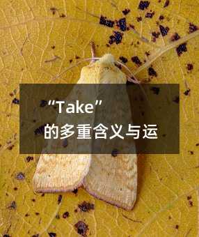 “Take” 的多重含义与运用