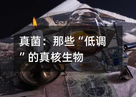 真菌:那些“低调”的真核生物