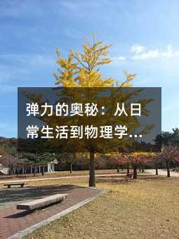 弹力的奥秘:从日常生活到物理学原理的深入探析