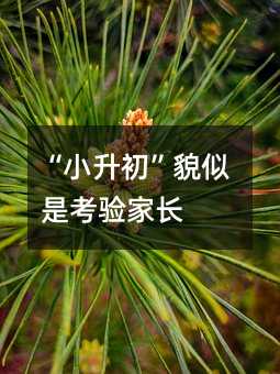 “小升初”貌似是考验家长
