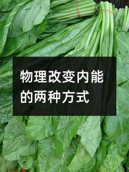 �����ı����ܵ����ַ�ʽ