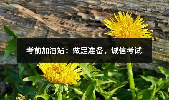 考前加油站:做足准备,诚信考试