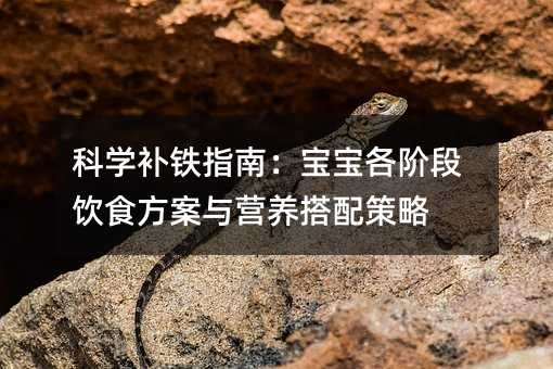 科学补铁指南:宝宝各阶段饮食方案与营养搭配策略