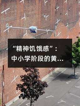 “精神饥饿感”:中小学阶段的黄金阅读期