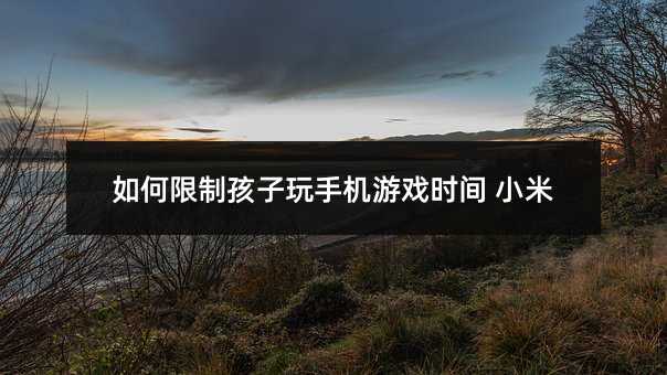 如何限制孩子玩手机游戏时间 小米