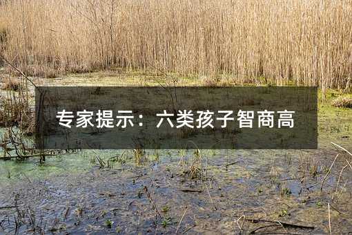 专家提示:六类孩子智商高
