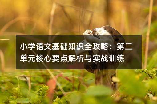小学语文基础知识全攻略:第二单元核心要点解析与实战训练