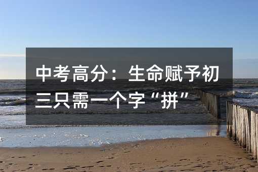 中考高分:生命赋予初三只需一个字“拼”