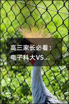 高三家长必看:电子科大VS西电,如何为孩子选择最适合的理工强校?