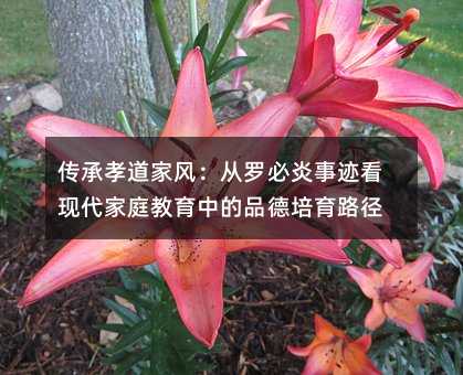 Тҷ磺ޱ¼ִͥеƷ·