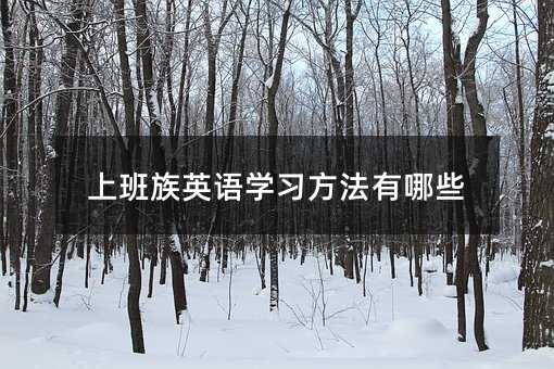 上班族英语学习方法有哪些