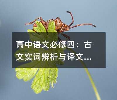 �������ı����ģ�����ʵ�ʱ��������ľ���
