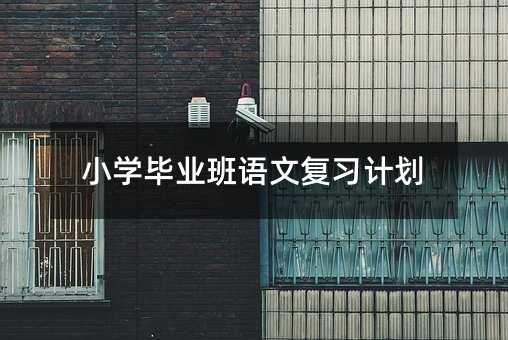 小学毕业班语文复习计划