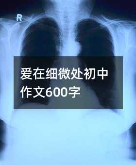 ����ϸ΢����������600��
