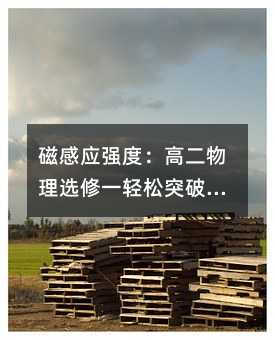 磁感应强度:高二物理选修一轻松突破指南