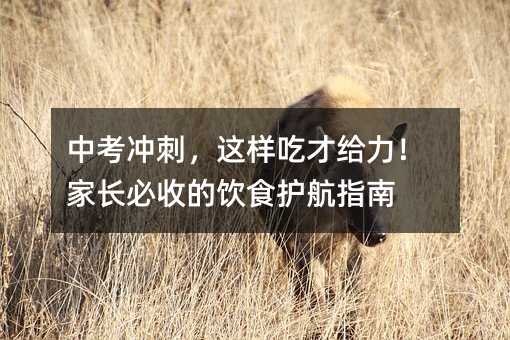 中考冲刺,这样吃才给力!家长必收的饮食护航指南