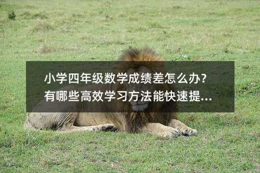 小学四年级数学成绩差怎么办?有哪些高效学习方法能快速提升?