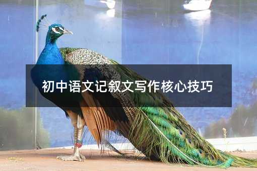 初中语文记叙文写作核心技巧