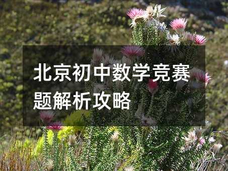 北京初中数学竞赛题解析攻略