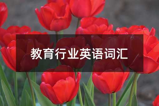 教育行业英语词汇