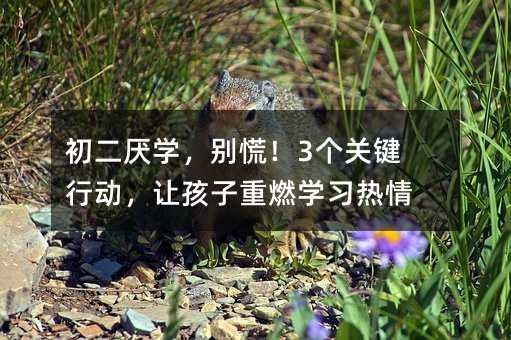 初二厌学,别慌!3个关键行动,让孩子重燃学习热情