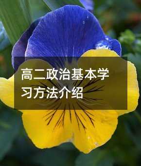 高二政治基本学习方法介绍