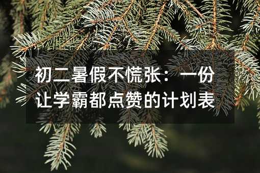 初二暑假不慌张:一份让学霸都点赞的计划表