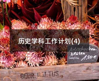 ��ʷѧ�ƹ����ƻ�(4)
