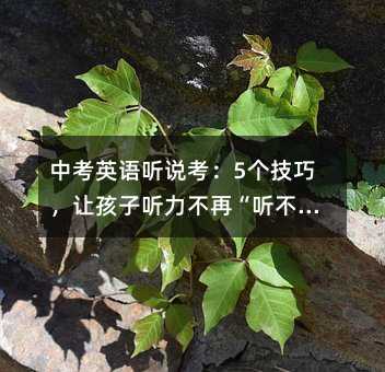 �п�Ӣ����˵����5�����ɣ��ú����������١���������