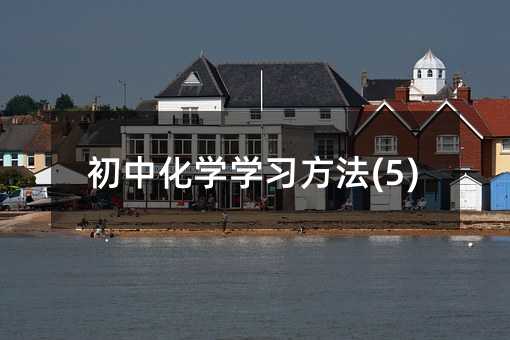 ���л�ѧѧϰ����(5)