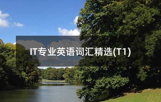 ITרҵӢ��ʻ㾫ѡ(T1)