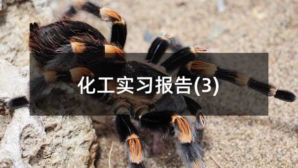 化工实习报告(3)