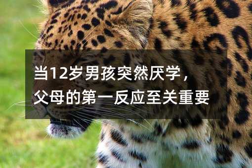 当12岁男孩突然厌学,父母的第一反应至关重要