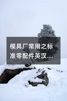 模具厂常用之标准零配件英汉对照