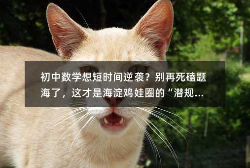 初中数学想短时间逆袭?别再死磕题海了,这才是海淀鸡娃圈的“潜规则”