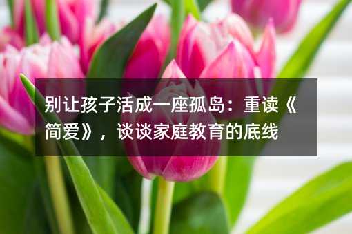 别让孩子活成一座孤岛:重读《简爱》,谈谈家庭教育的底线
