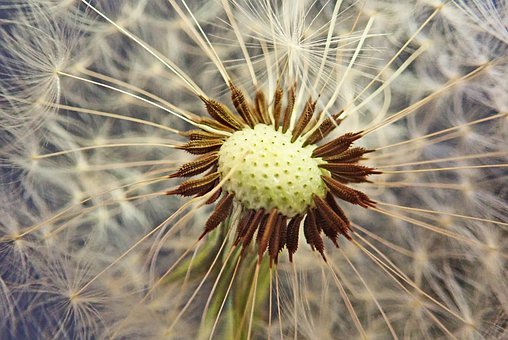 多人考研作弊获刑