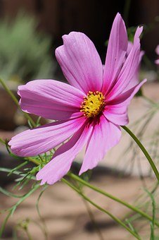 四年级语文期中总结篇