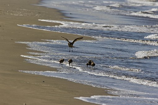 ���þ�����ô˵