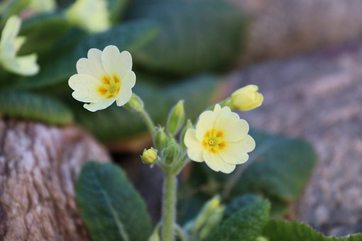 һ�������Σ���������������������