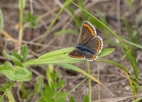 Ů��ѧ�����򹤳������֮�� ӦƸʱPK���о���