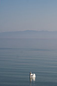 ������ѧ���������������߼���ϵ�ıؾ�֮·